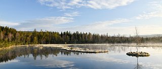 Největší rašelinové jezírko v Česku s nejznámější břízkou