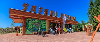 Gladiators night contender v Safari