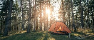 Tábořiště Sokol Suchdol