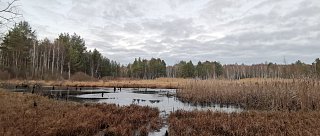 Naučná stezka Borkovická blata