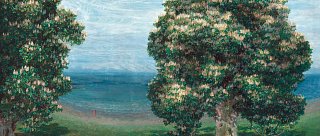 belvedere na hluboké | let it grow again!