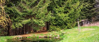 Studánka Alpská vyhlídka: Pramen svěžesti nad Lipnem