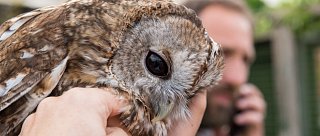 Největší soví voliéra v Česku