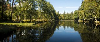 Koupání uprostřed šumavských lesů