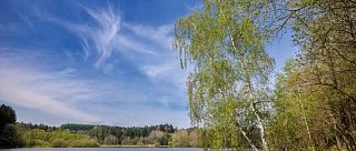 Zevlův rybník u Nových Hradů