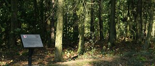 Největší slovanské pohřebiště v Česku