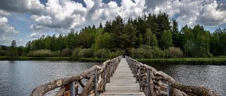 Z Černé v Pošumaví přes rybník Olšina do Krumlova