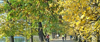 Z Budějc přes Třeboň a Borovany