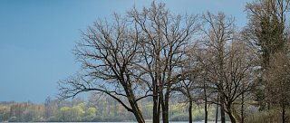 Okolo Třeboně přes Rožmberk