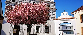 Blatské muzeum Weisův dům - mototip