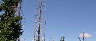 Černá hora na Kvildě