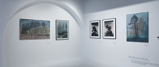 Výstava Krajiny duše - Siegfried Herz