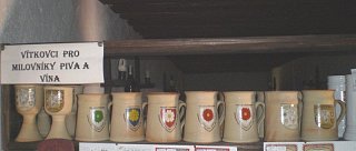 Nový hrad a pivovar Vítek z Prčice