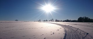 Běžkařské trasy Polánka