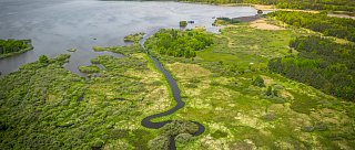 CCL - 2. etapa: Z rybníku Rožmberk do Tábora