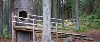 Soví stezka ve Stožci