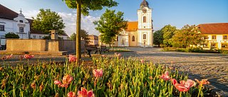 Jihočeský komorní festival 2026 - Václav Hudeček a laureáti