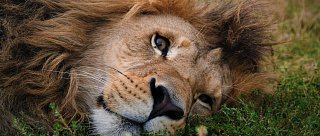 Zoologická zahrada Na Hrádečku