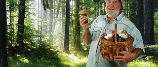 Houbaření na Šumavě