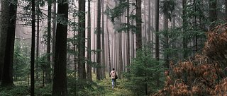 Mohylové pole u Vitína: Tajemné svědectví dávných Slovanů