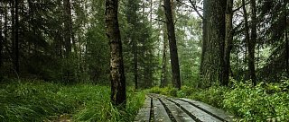 Národní přírodní rezervace Červené Blato