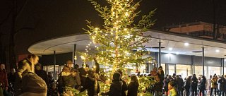 Rozsvícení vánočního stromu na Kampě