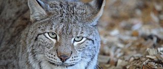 Návštěvnické centrum Kvilda