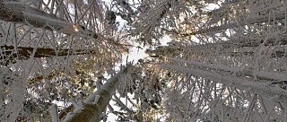 Z Bohumilic na Mářský vrch