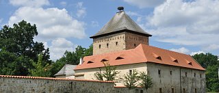 Jestřábí moudrost