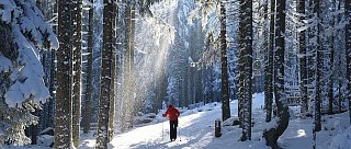 Na běžkách v Podkletí