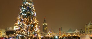 Rozsvícení vánočního stromu České Budějovice
