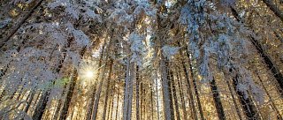 Kázání v přírodě