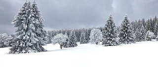 Naučná stezka Bezlesí