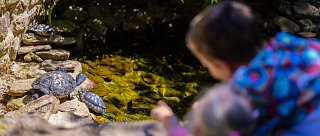 Staň se ošetřovatelem v ZOO Na Hrádečku