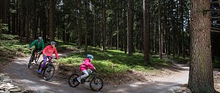Singletrack Lipno - rodinná terénní cyklotrasa