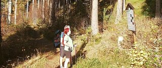 Naučná stezka údolím Černé