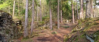 Zřícenina hradu Sokolčí