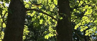 Ptačí stezka u Jaderné elektrárny Temelín