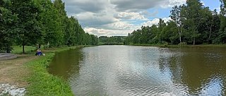 Rybník Brigádník v Trhových Svinech