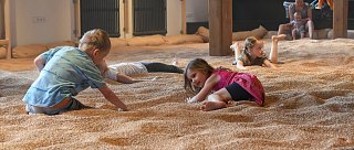 Největší herna pro rodinu ve střední Evropě