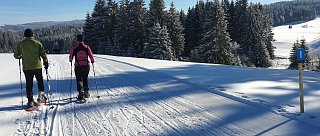 Běžky Pasečná: za Alpskými výhledy