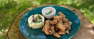 Cesta za třeboňským kaprem