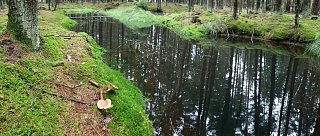 Přírodní památka Blana