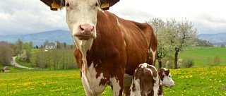 Naučná stezka Želnavskem za bioprodukty na biofarmu Slunečná