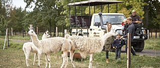 Den otevřených dveří - Safari školka 2024/2025