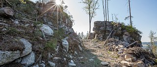 Z Lipna nad Vltavou na Medvědí horu a zpět