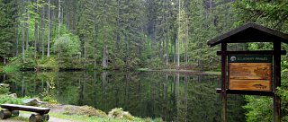 Okolo Boubínského pralesa