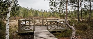 Národní přírodní rezervace Červené Blato