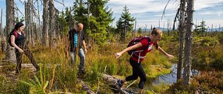 Průvodci divočinou