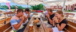 Safari food festival